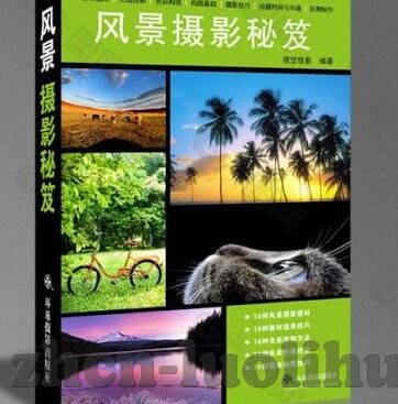 大象传媒在哪-探寻大象传媒的足迹，从历史到未来的文化桥梁