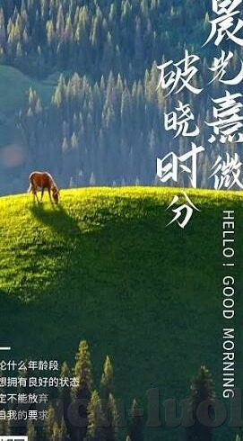 麻豆av-麻豆AV的复杂性与社会影响思考