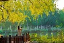 麻豆传媒演员大全-麻豆传媒演员风采录，光影背后的多面魅力