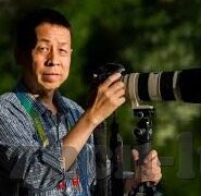 麻豆传媒映画app哪里下载-下载麻豆传媒映画app的清晰指南