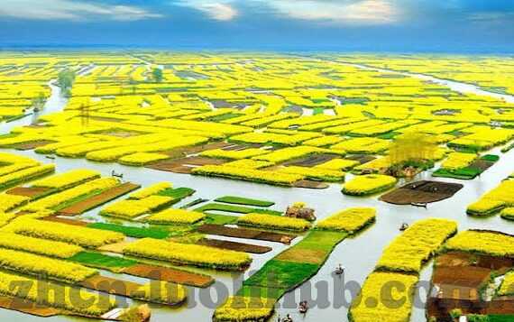 麻豆情侣啪啪视频-青春的曙光，麻豆情旅的温暖画卷